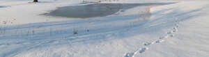 snowy field with a little pond