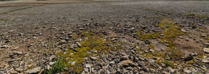 rocky and mossy gravel