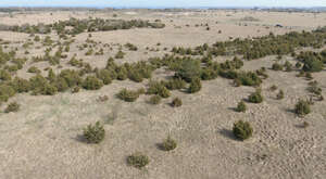 aerial view of a dry grassland with bushes