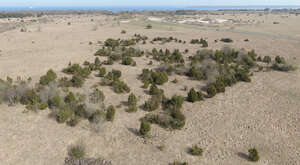 aerial view of a grassland in spring with some trees and bushes