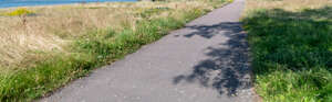small road with shadows in countryside