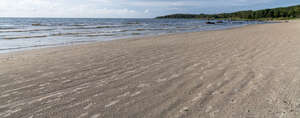 sandy beach