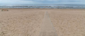 sandy sea shore