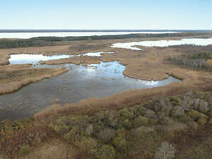 top view of a seashore with reed