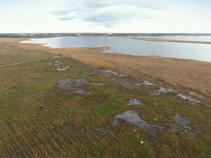 top view of a wild seaside in autumn