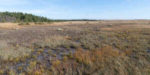 wet land by the sea in autumn