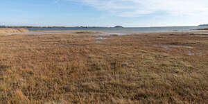 seaside with reeds in autumn