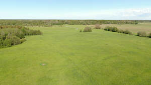 top view of a green field
