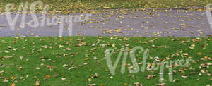 park walkway with autumn leaves