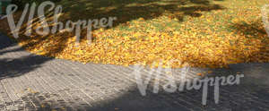 sloped ground in a park in autumn