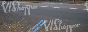 city street with markings and autumn leaves