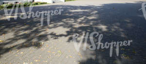 paved square with autumn leaves