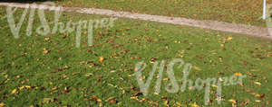 park ground with a walkway and autumn leaves