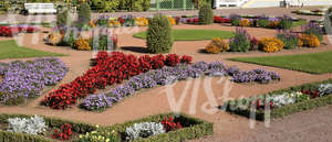 park ground with formal flowerbeds