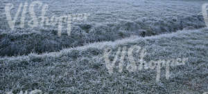 frost covered field of grass with a ditch 