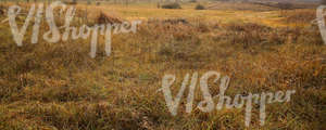 autumn landscape