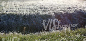 field of grass with a ditch covered with frost