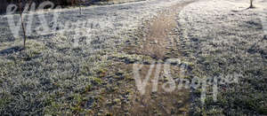 pathway in a frost covered field