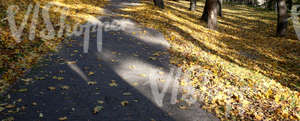 park ground with a walkway and autumn leaves