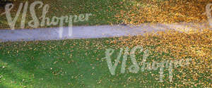 park ground with a walkway and autumn leaves seen from above