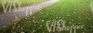 park ground with a walkway and autumn leaves