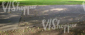 park walkway with leaves