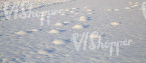 ground covered with snow