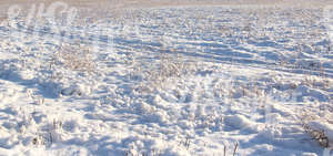 a bumpy snow-covered field