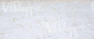Field of snow