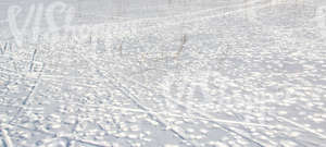 Field of snow