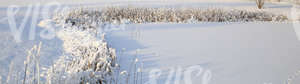 Snow-covered landscape