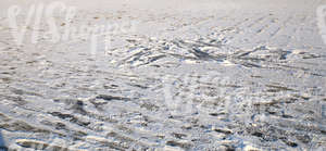 snow-covered ground with messy footprints