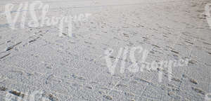 snow-covered pavement with lots of footprints