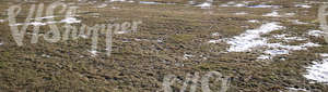 dry grass partially covered with snow