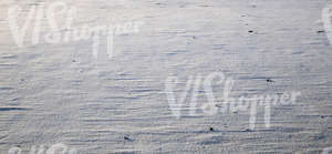 ground covered with snow