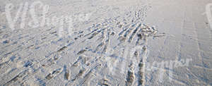 snow-covered pavement with footprints