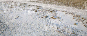 ground partially covered with snow