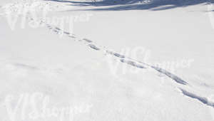snow-covered ground with footprints