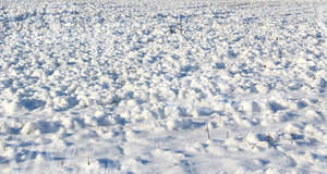 bumpy snow-covered ground