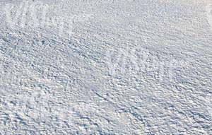 field of snow