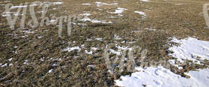 ground partially covered with snow