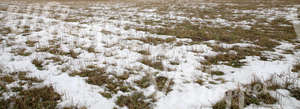 a field partially covered with snow