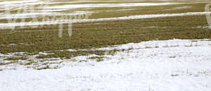 a field partially covered with snow