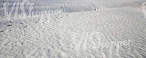 snow-covered ground with a ditch