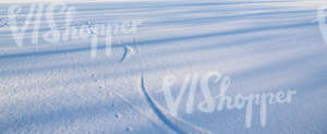 snow-covered ground with skaters prints