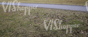 dry grass ground with a walkway