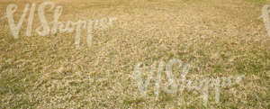 dry field in springtime