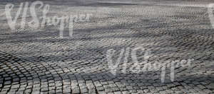 pavement with tree shadows