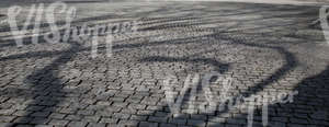 paved square with tree shadows