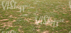 sandy ground partially covered with grass